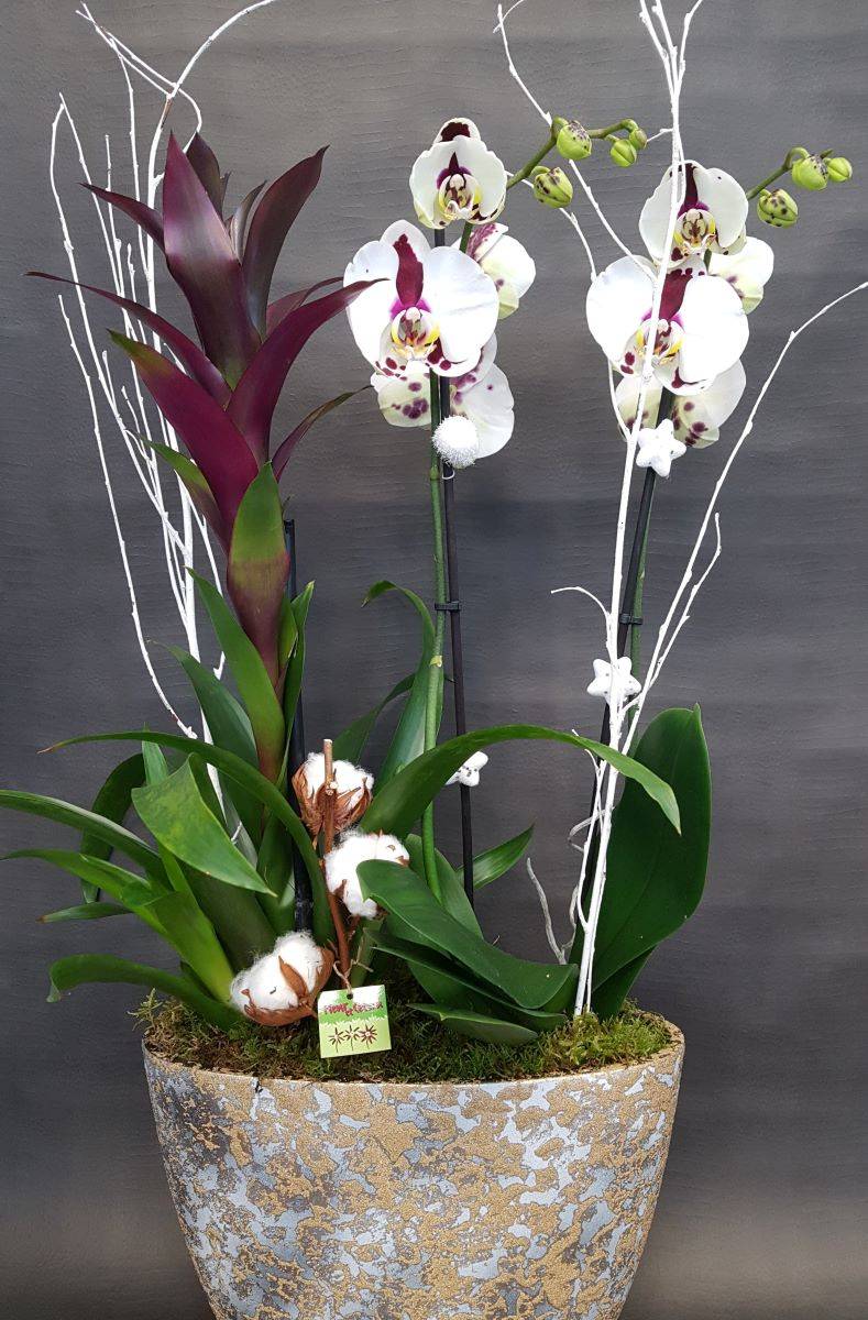 Fleur et Cetera